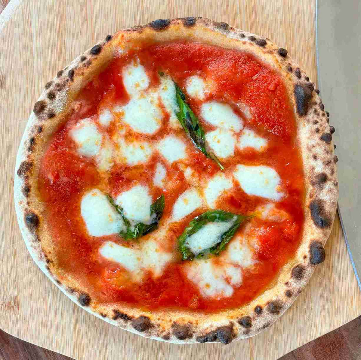 Fior di Latte oder Büffelmozzarella, was ist besser für deine Pizza?
